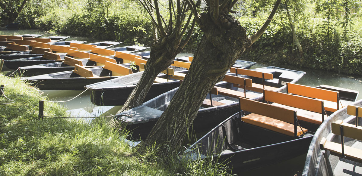 Activité loisir et découverte du Marais Poitevin