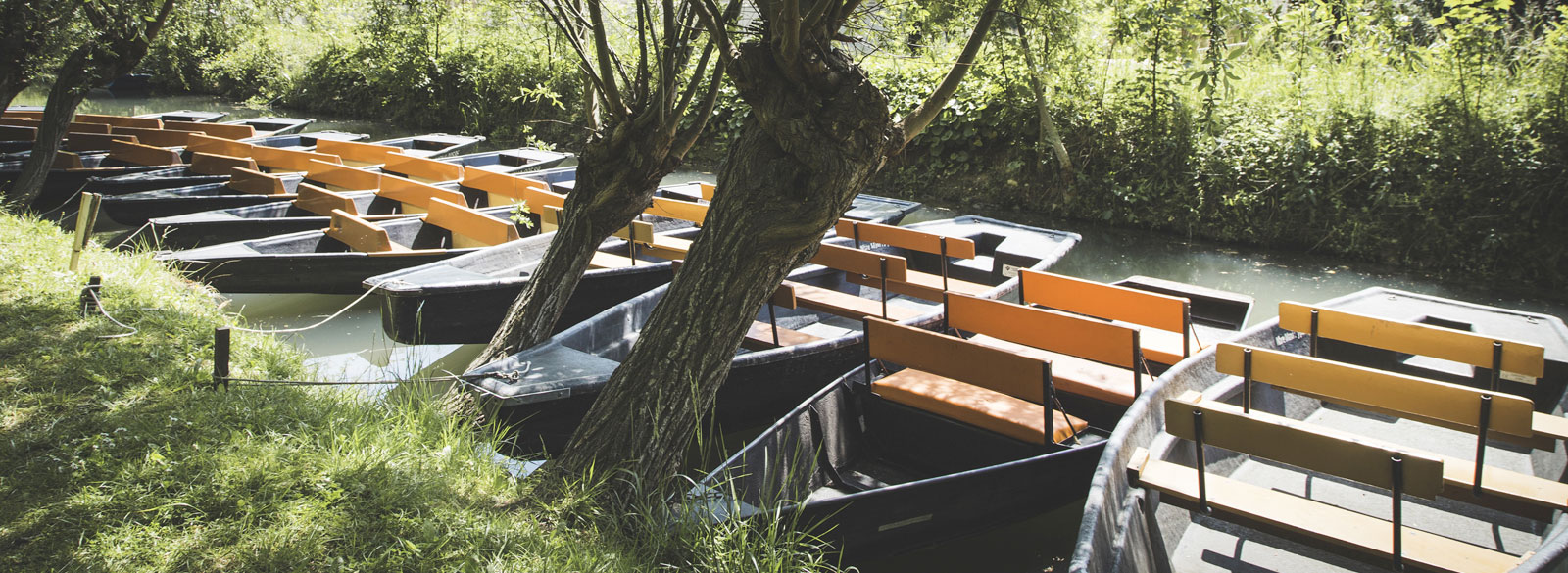 Activité loisir et découverte du Marais Poitevin