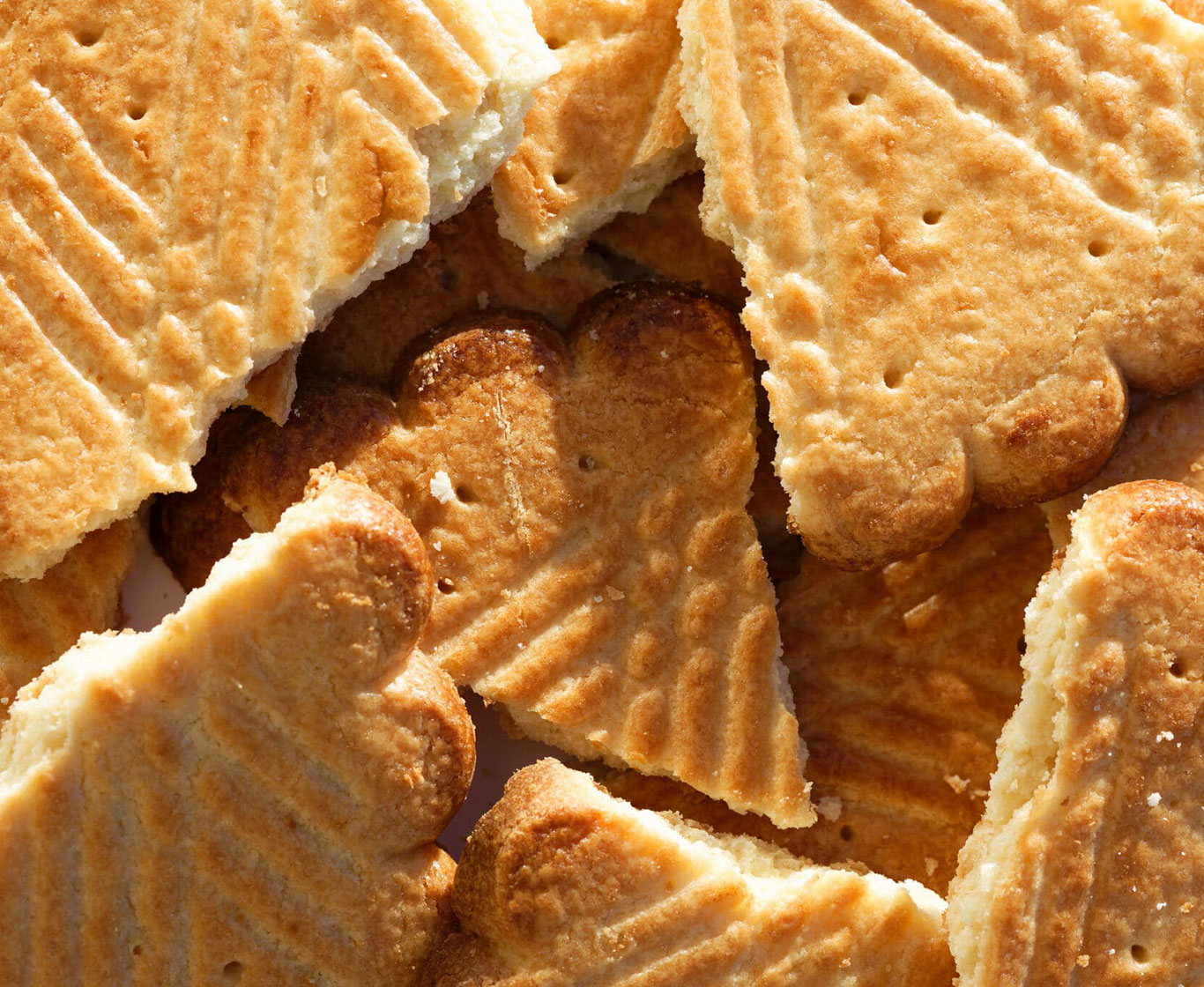 Découverte des produits locaux en Marais Poitevin